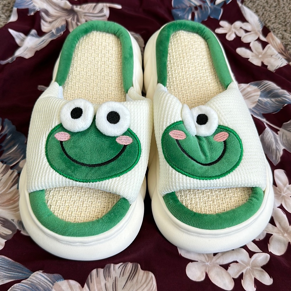 Frog slippers for women